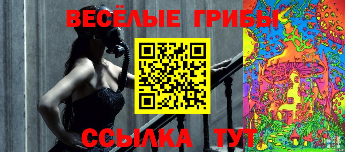 Псилоцибиновые грибы Psilocybe  Вход с VPN  Бахчисарай 